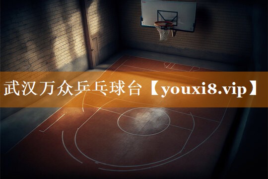 武汉万众乒乓球台